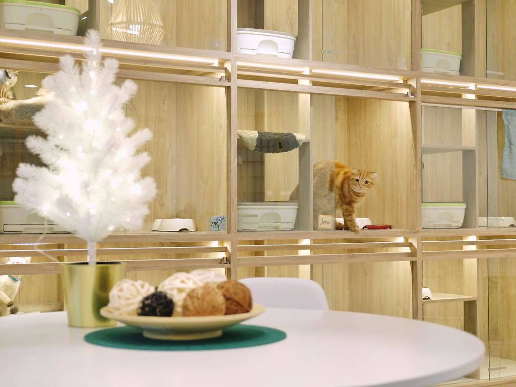 8 Best Pet Hotels in Singapore