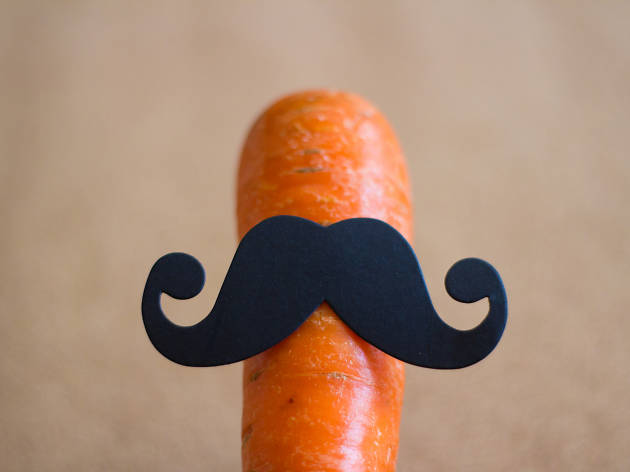 movember movember