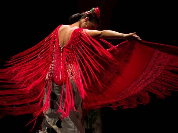 Museo del Baile Flamenco