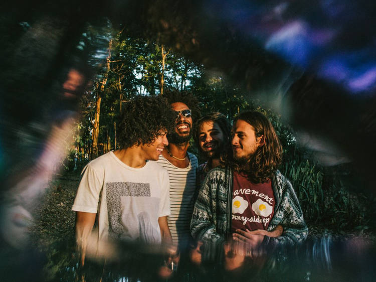 Boogarins