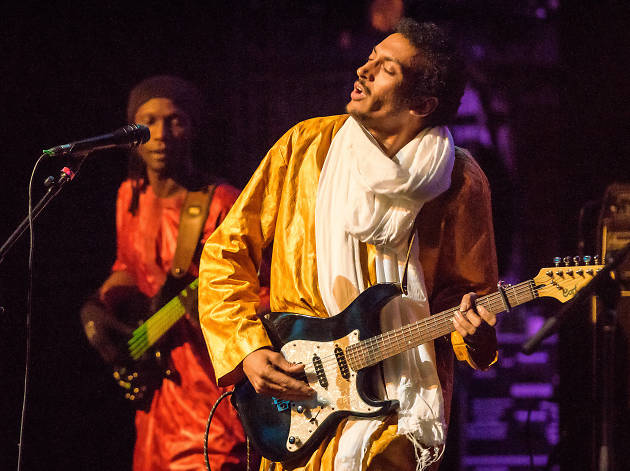 Bombino Bombino