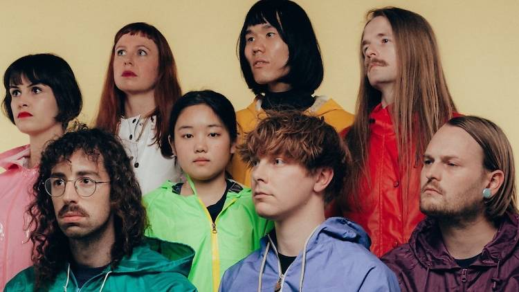 superorganism