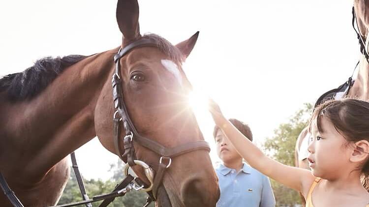 Bukit Timah Saddle Club