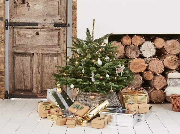 What Is a Grow-and-Stow Christmas Tree? Shop Our 2023 Picks