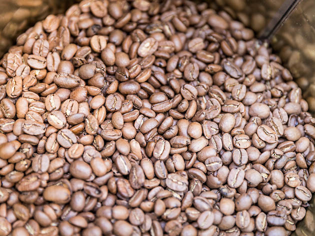 casa de cafes solposto