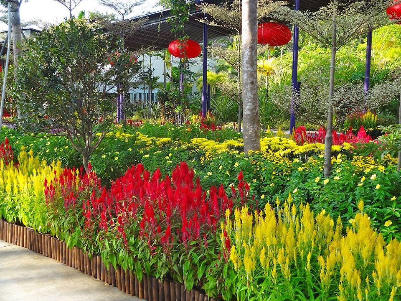 15 Best Plant Shops in Singapore For Starting Your Indoor Garden