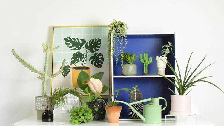 The best shops for flowers, indoor plants and gardening supplies