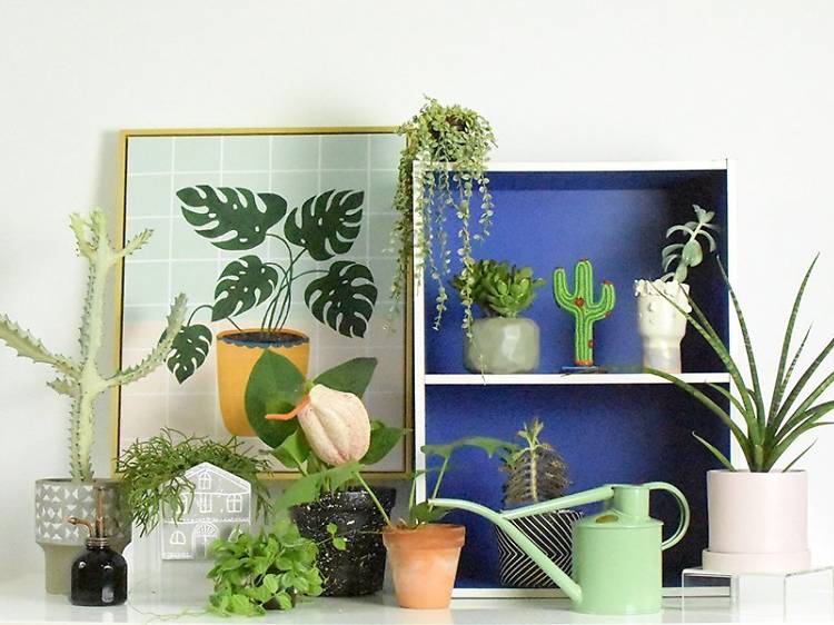 The best shops for flowers, indoor plants and gardening supplies