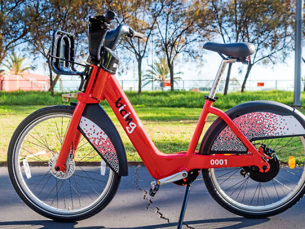 Bicing Bicing