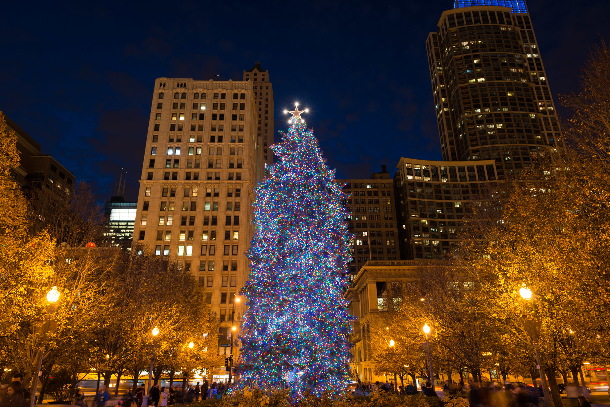 Major Chicago Cubs Christmas Tree