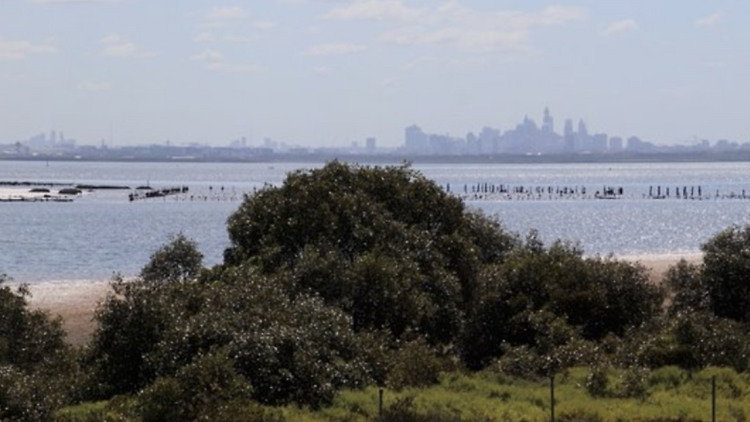 Bonna Point Reserve