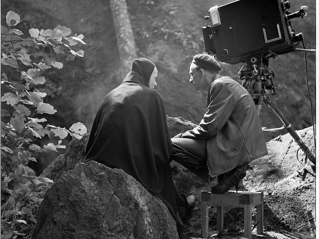 Bergman: A Year in the Life Bergman: A Year in the Life