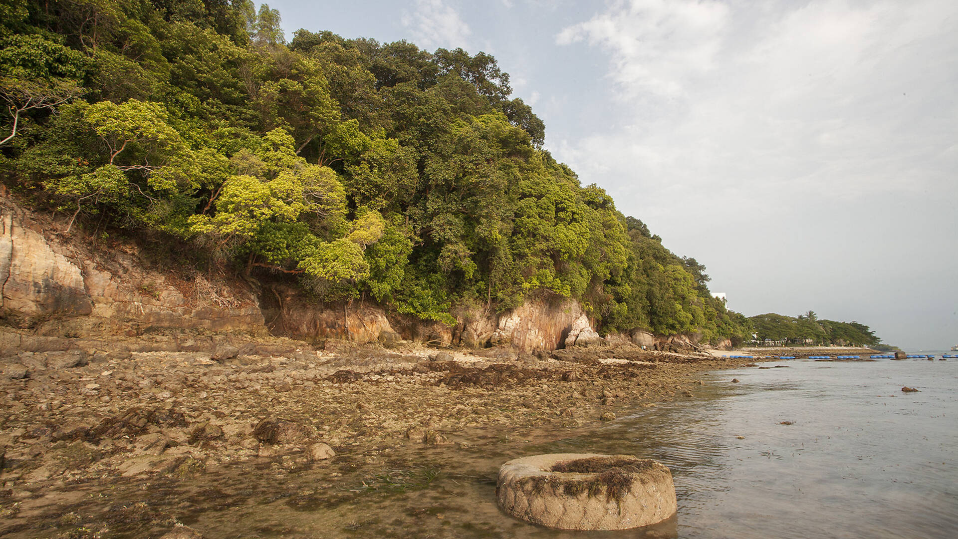 6 Hidden Beaches In Singapore to Explore