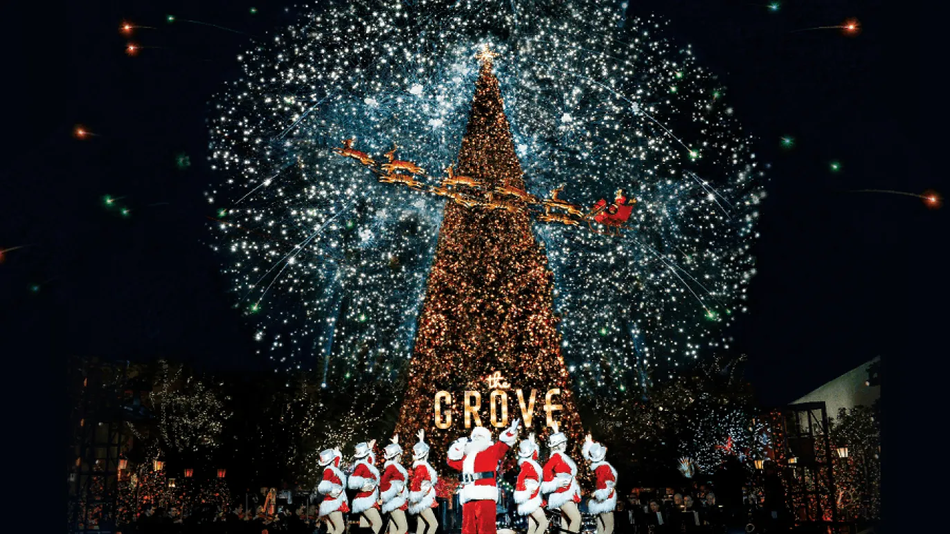 image.webp (1372&times;772)