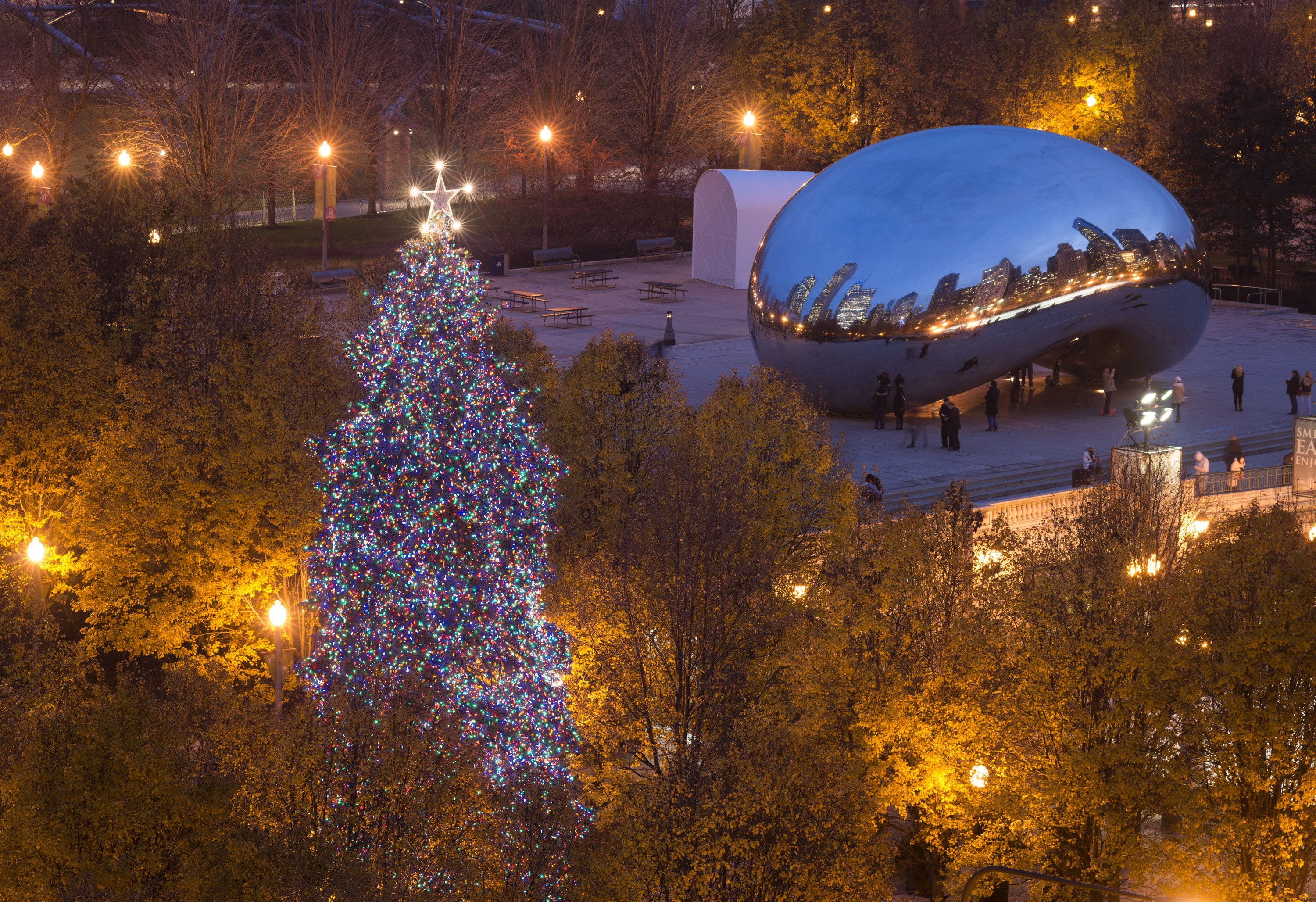 Chicago Christmas Lights Wallpaper