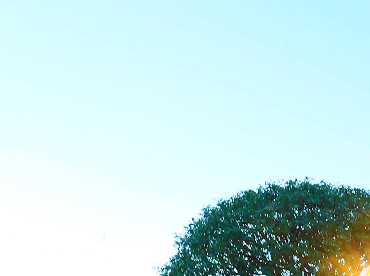 Yebisu Garden Place Christmas Marche Yebisu Garden Place Christmas Marche