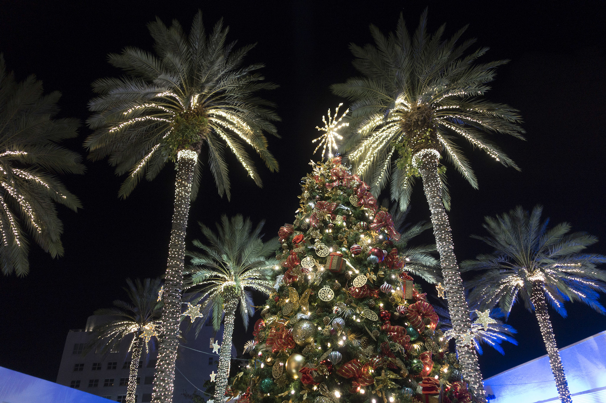 Miami Christmas Events and Holiday Happenings in 2019