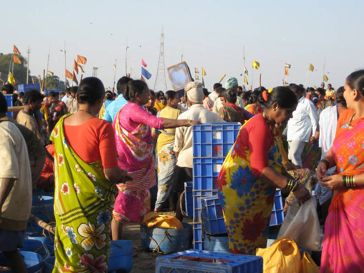 Koli Seafood Festival