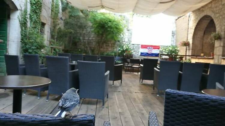 Discover the hidden courtyard of Caffe Bar Nu