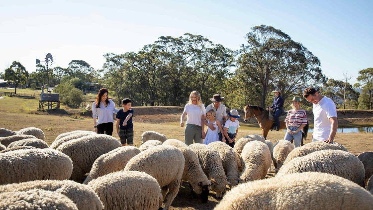 Stay on a sheep station and live the rural dream