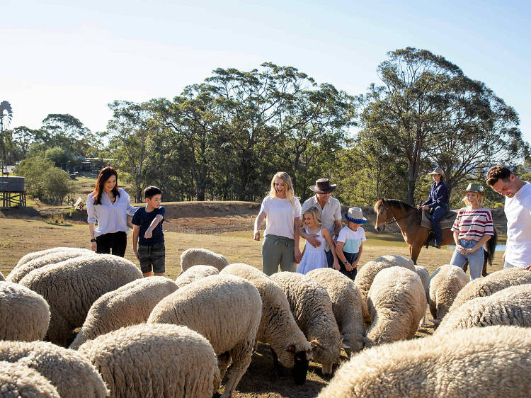 Stay on a sheep station and live the rural dream