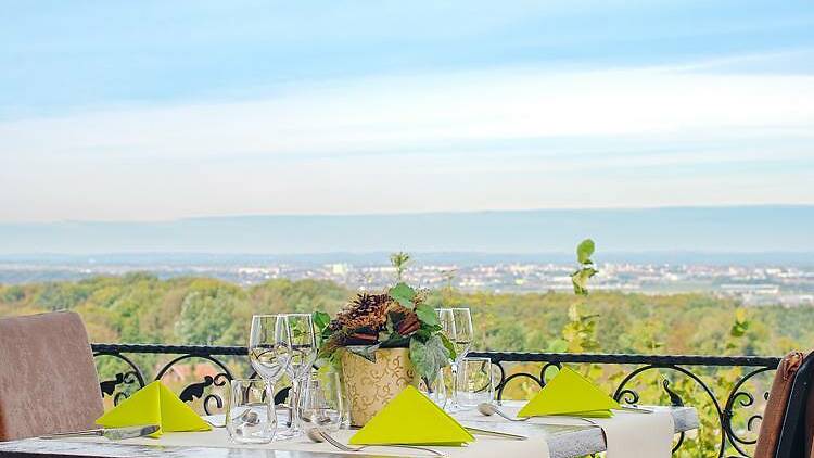 Dine amid bucolic vineyards