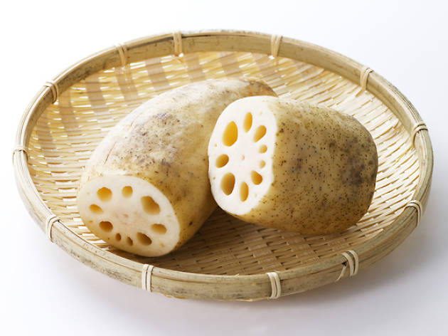 レンコン レンコン