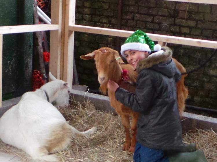 Kentish Town City Farm