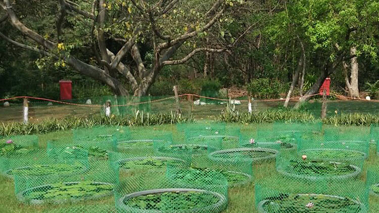 Maharashtra Nature Park