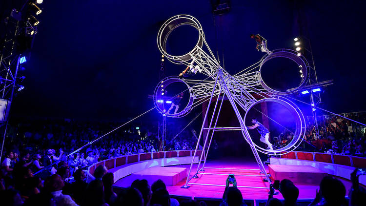 the great moscow circus