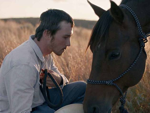 The rider The rider