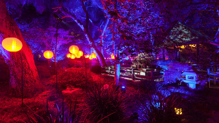 'Enchanted: Forest of Light' is bringing magic back to Descanso Gardens ...