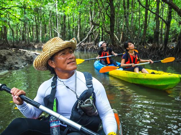 Kayak through dense jungle of Iriomote island Kayak through dense jungle of Iriomote island