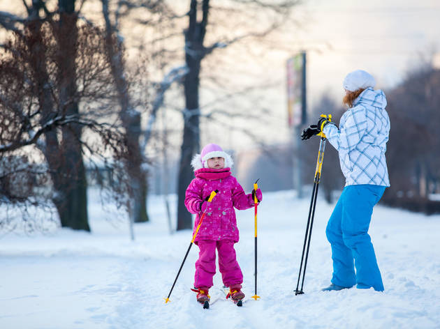 Cross country skiing Cross country skiing