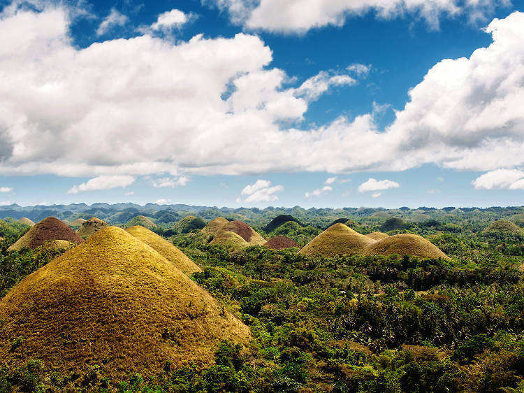 Bohol