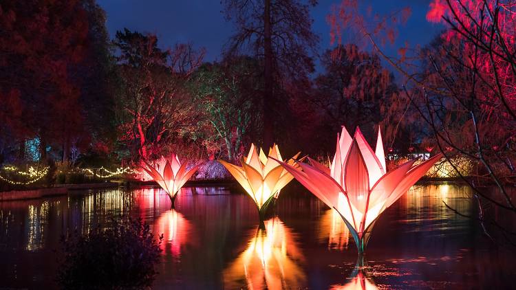 RHS Wisley, Surrey 