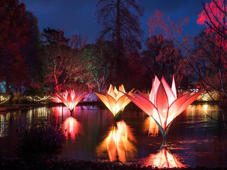 RHS Wisley, Surrey 