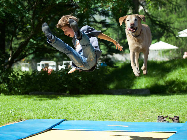 Dog-Poline: World’s First Trampoline Park for Dogs