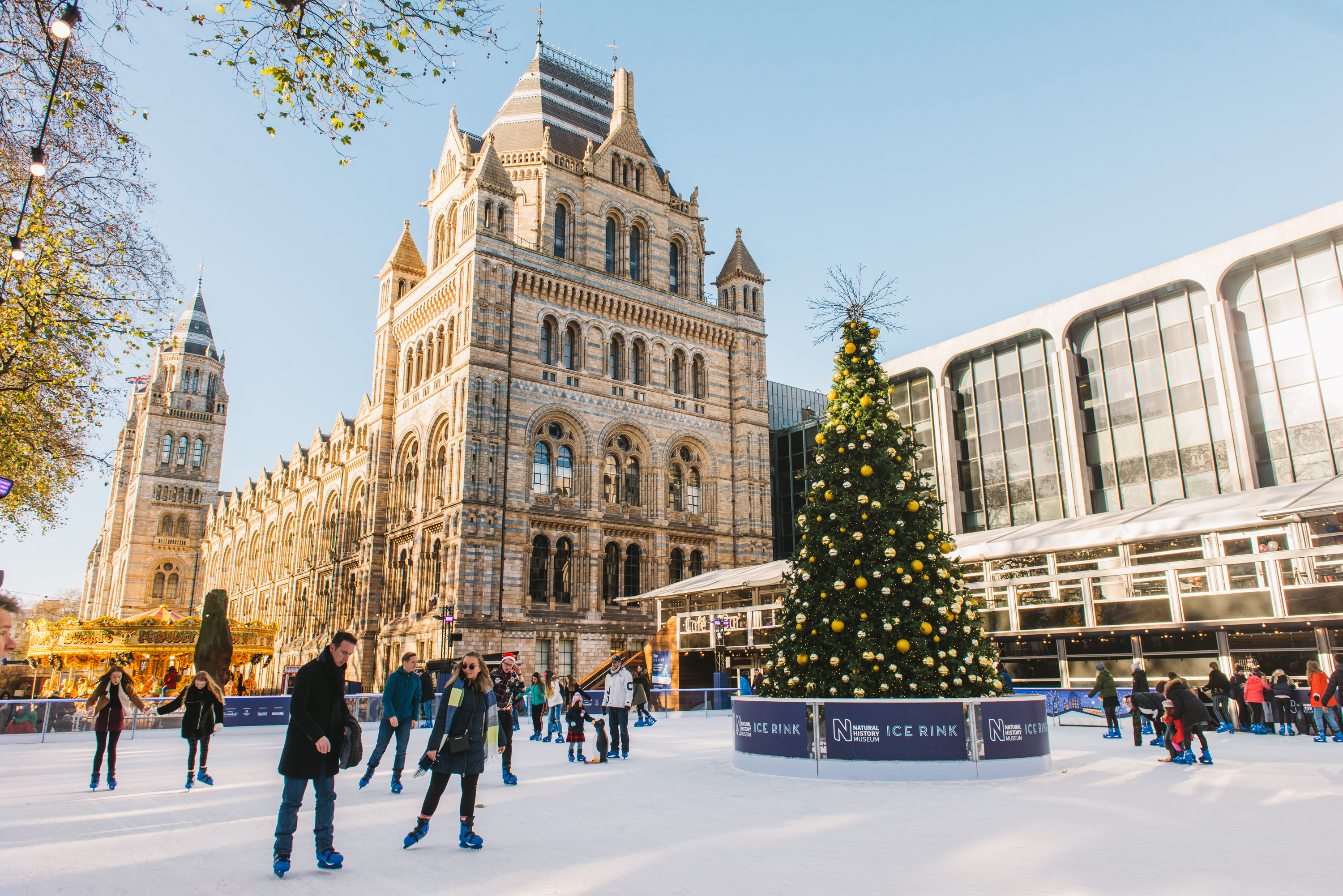 Natural History Museum London Ice Rink