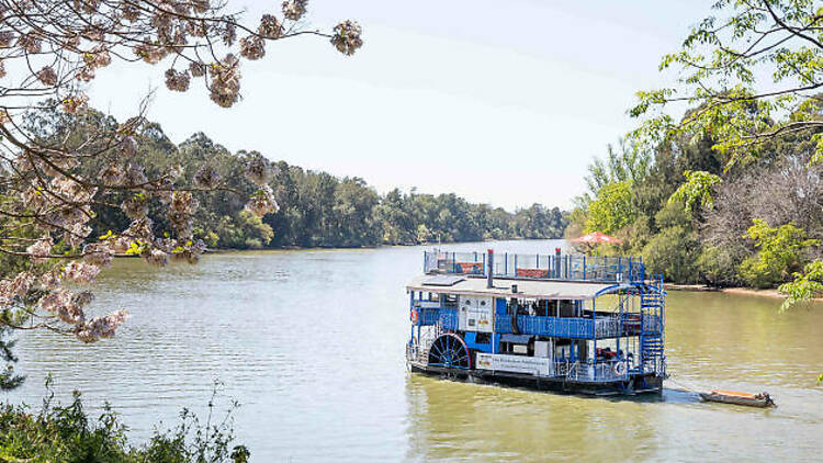 Board the Hawkesbury Paddlewheeler for a lunch cruise 