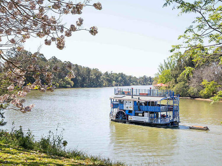 Board the Hawkesbury Paddlewheeler for a lunch cruise 
