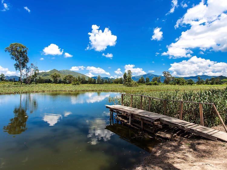 Nam Sang Wai Wetlands