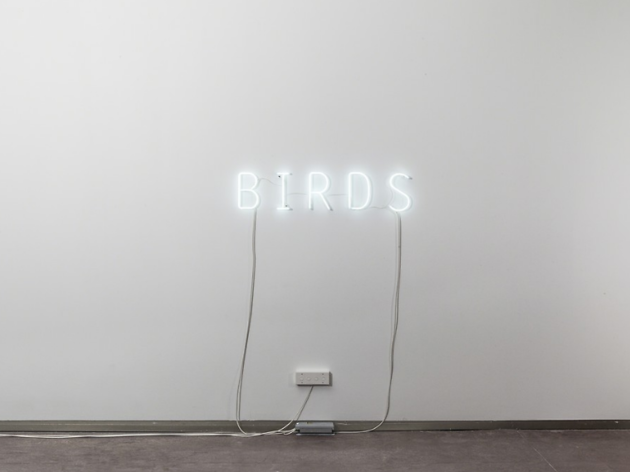 Concha Martínez Barreto. Birds, 2018 Concha Martínez Barreto. Birds, 2018