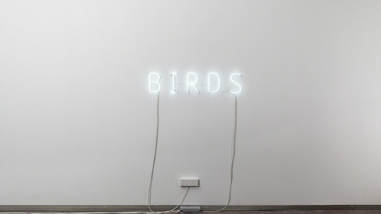 Concha Martínez Barreto. Birds, 2018