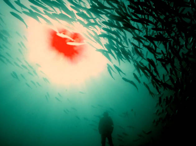 © Lois Patiño, Sol rojo, 2’30’’, 2018 © Lois Patiño, Sol rojo, 2’30’’, 2018