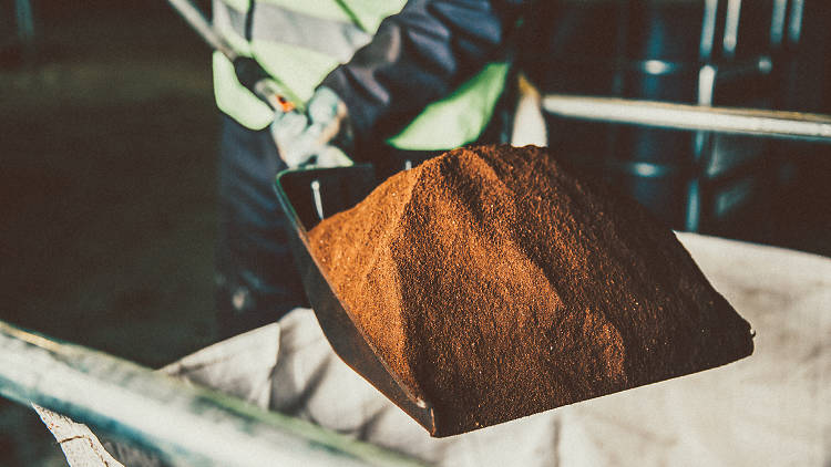 The people turning coffee grounds into fuel