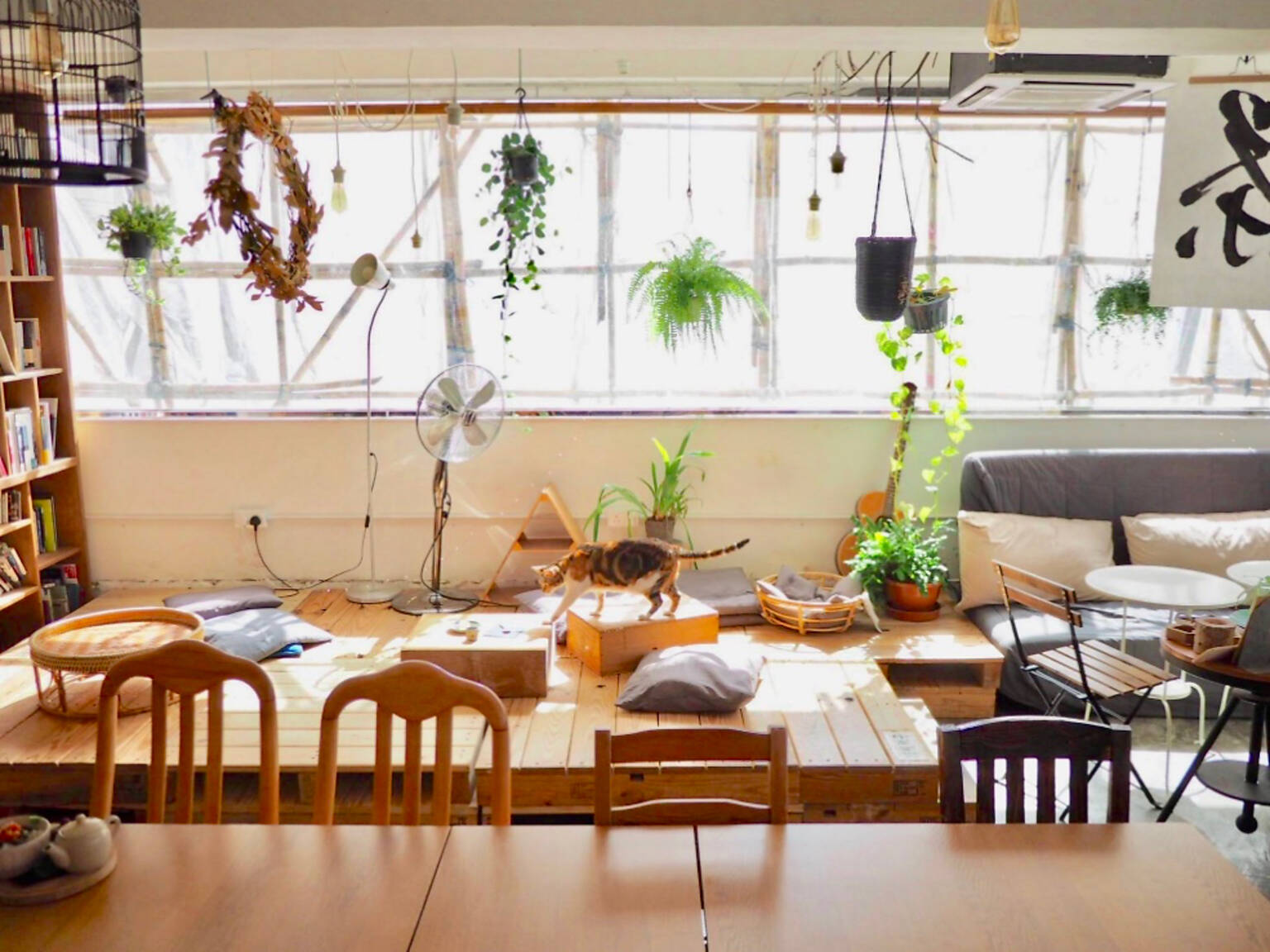 Hong Kong’s best fondue From cheese to chocolate