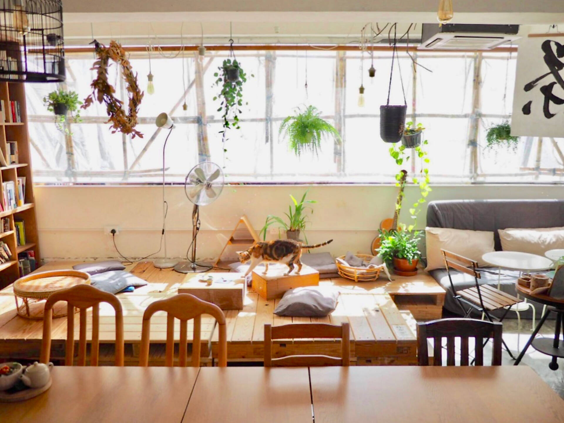 The 7 best cosy cafés for winter in Hong Kong