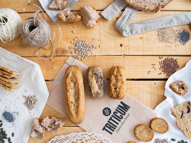 Triticum Triticum