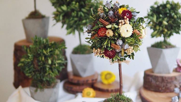 Floral Magic, the general co